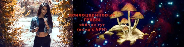 СК Абдулино