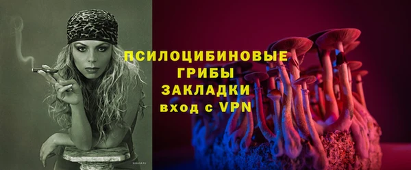 МДПВ Абаза