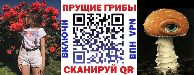 сайты даркнета Telegram  Энем  Псилоцибиновые грибы мицелий 